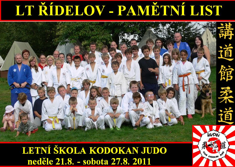 LSJU2011