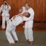 VLADIMÍR LORENZ sensei - 8.DAN