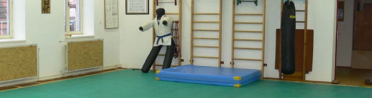 Našim členům je k dispozici 88 m2 nastálo položené tatami