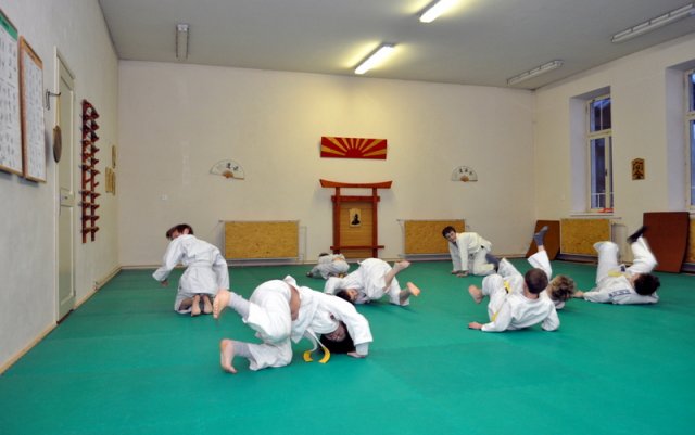judo sport