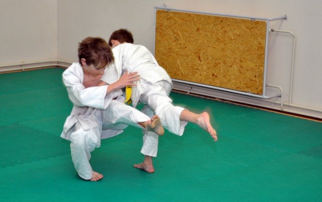 judo sport2